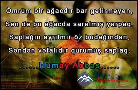 Humay Abbas: Göz yaşınam, sil məni!...