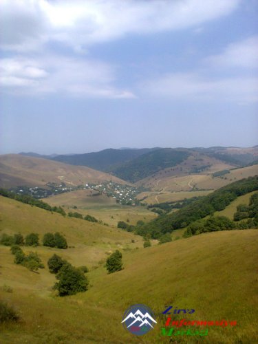 QAMIŞLI QAMIŞLI
