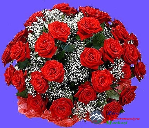 = = = = = Ruhun şad olsun, Mustafa Əmiraslan oğlu və Güllü Əmiraslan qızı!.. = = = = = = = = = = = = Ruhun şad olsun, Mustafa Əmiraslan oğlu və Güllü Əmiraslan qızı!.. = = = = = = =