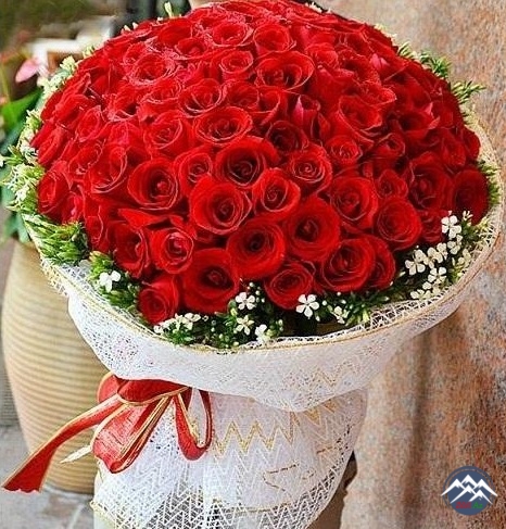 AD GÜNÜNÜZ MÜBARƏK, ƏZİZ VƏ DƏYƏRLİ HƏMKARIMIZ, ÇOX HÖRMƏTLİ FİRƏNGİZ XANIM!.. AD GÜNÜNÜZ MÜBARƏK, ƏZİZ VƏ DƏYƏRLİ HƏMKARIMIZ, ÇOX HÖRMƏTLİ FİRƏNGİZ XANIM!..