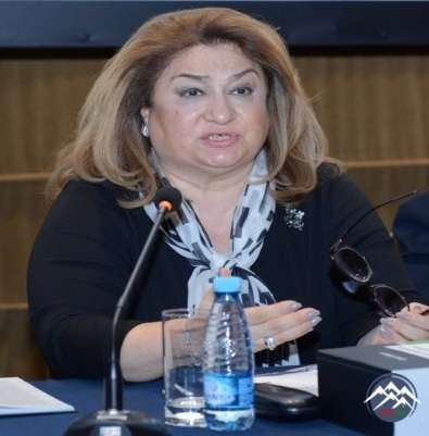 Professor Əmir Əliyevin “Azərbaycan beynəlxalq cinayətlər hədəfində: hüquqi təhlil” kitabının təqdimatı olub Professor Əmir Əliyevin “Azərbaycan beynəlxalq cinayətlər hədəfində: hüquqi təhlil” kitabının təqdimatı olub